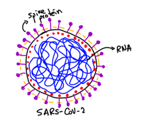 Research Image